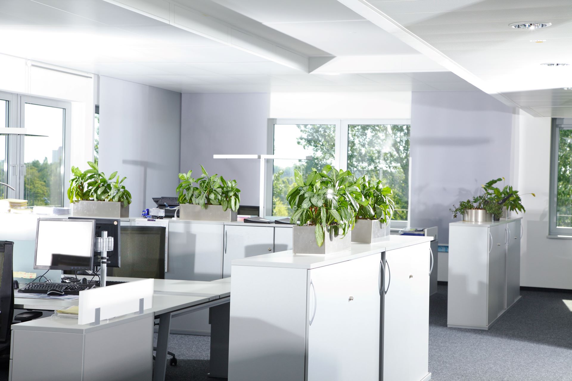 Resume Writing Services Redcliffs NZ